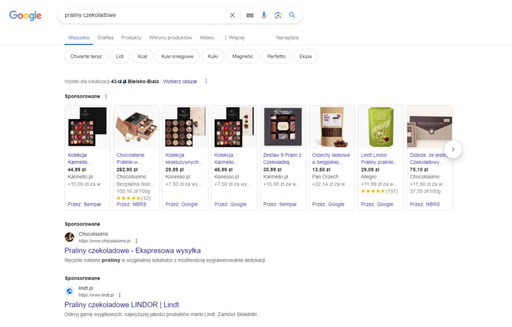 Google Ads - sposób prezentacji płatnych wyników wyszukiwania