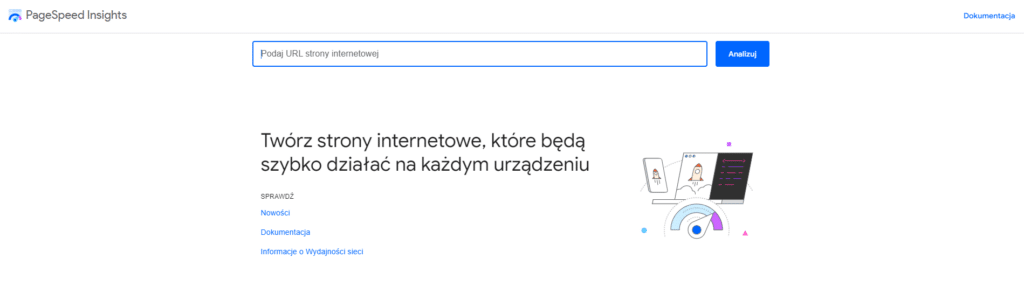 Google PageSpeed Insights - widok strony głównej