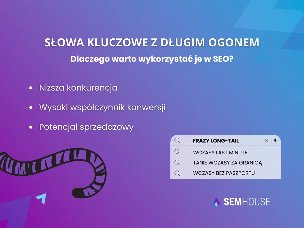 Słowa kluczowe z długim ogonem – dlaczego warto się na nie pozycjonować?