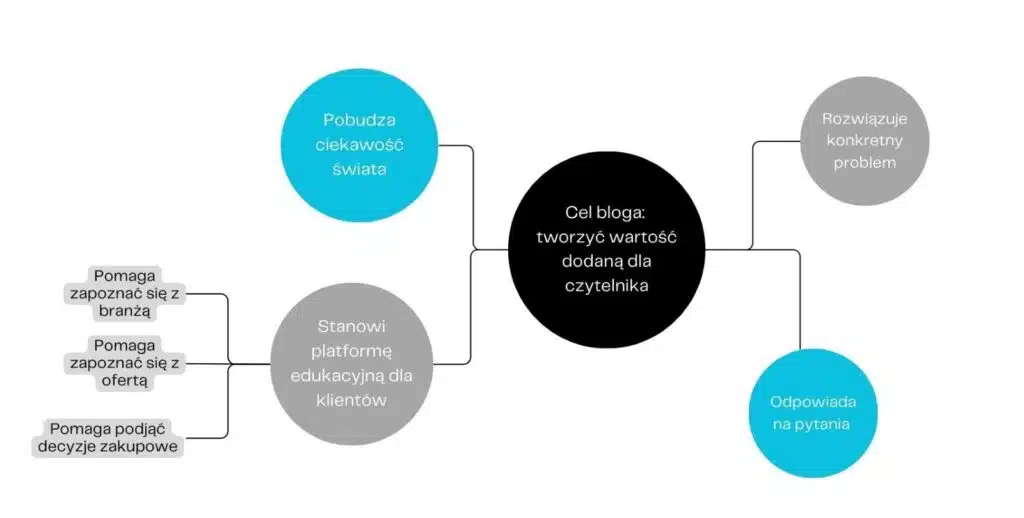 Cel prowadzenia bloga: tworzenie wartości dodanej dla czytelnika - infografika