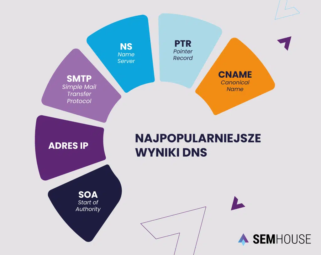 Najpopularniejsze wyniki DNS