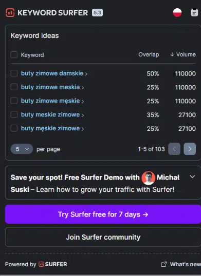 Widok w Keyword Surfer