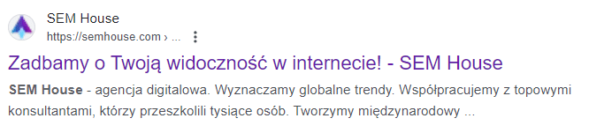 Przykładowy Meta Description