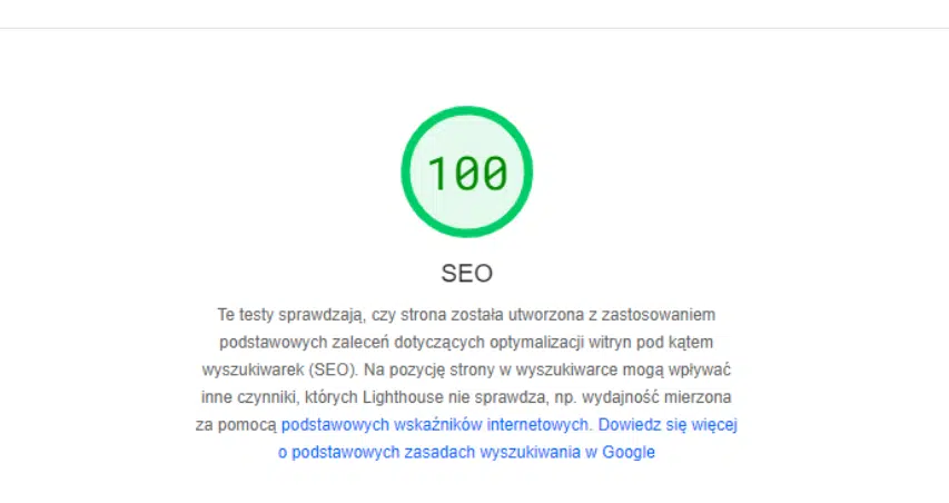 Obrazek przedstawiający maksymalny wynik w PageSpeed insights