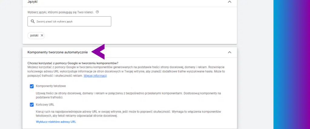 Ustawienia kampanii Google Ads Performance Max - komponenty tworzone automatycznie