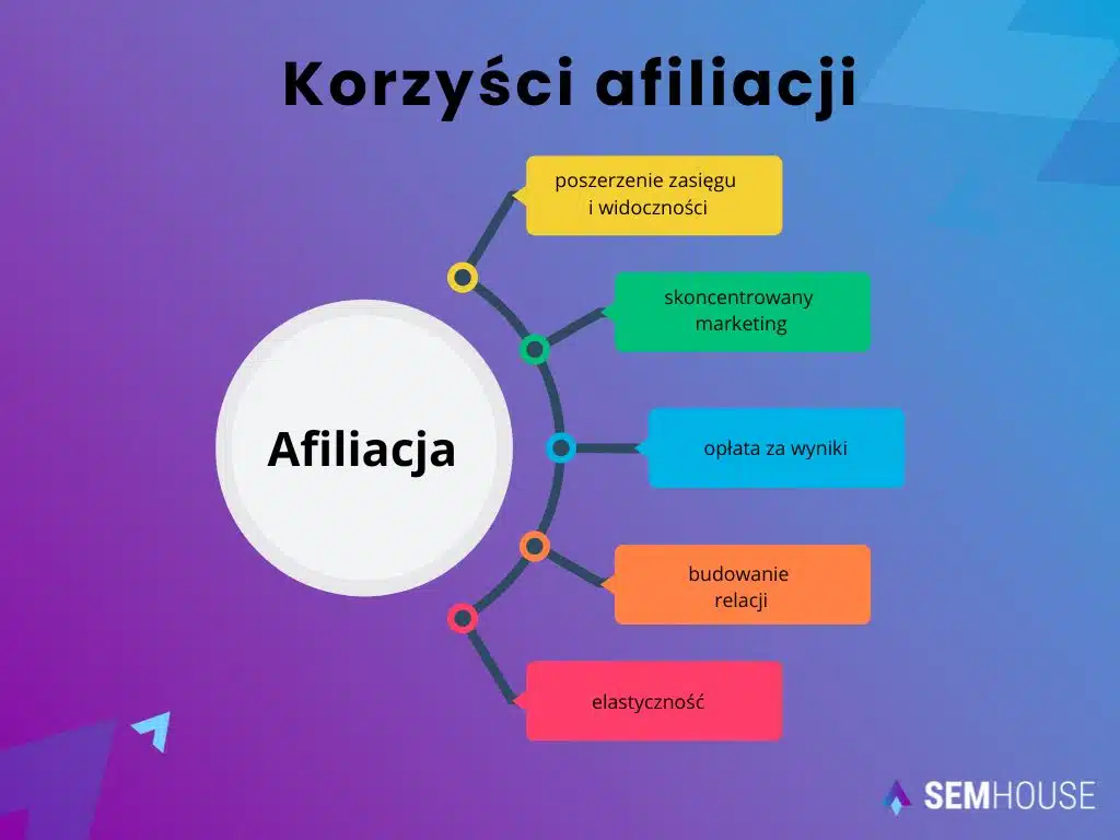 Korzyści afiliacji - diagram