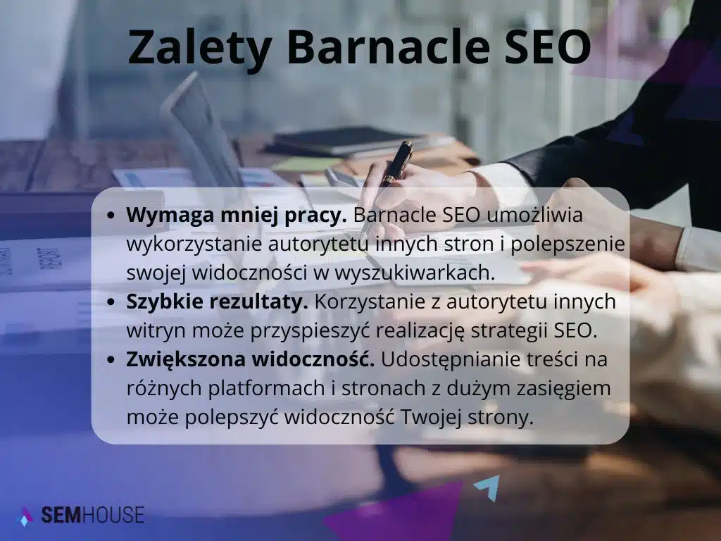 Zalety Barnacle SEO