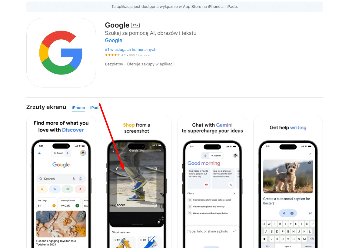 Google Lens - aplikacja