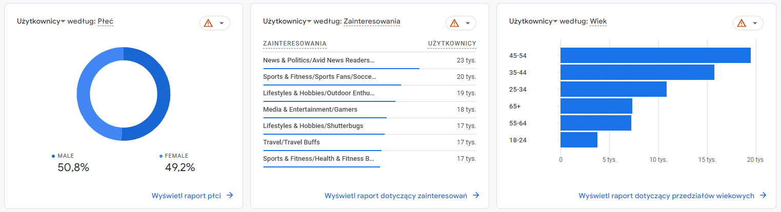 Badanie profilu odbiorców strony internetowej w Google Analytics