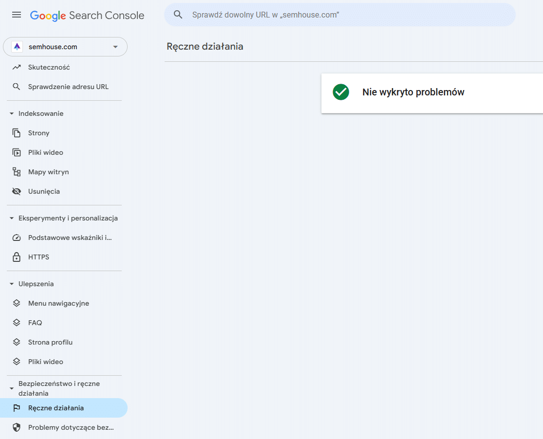 Brak kary ręcznej - widok w Google Search Console