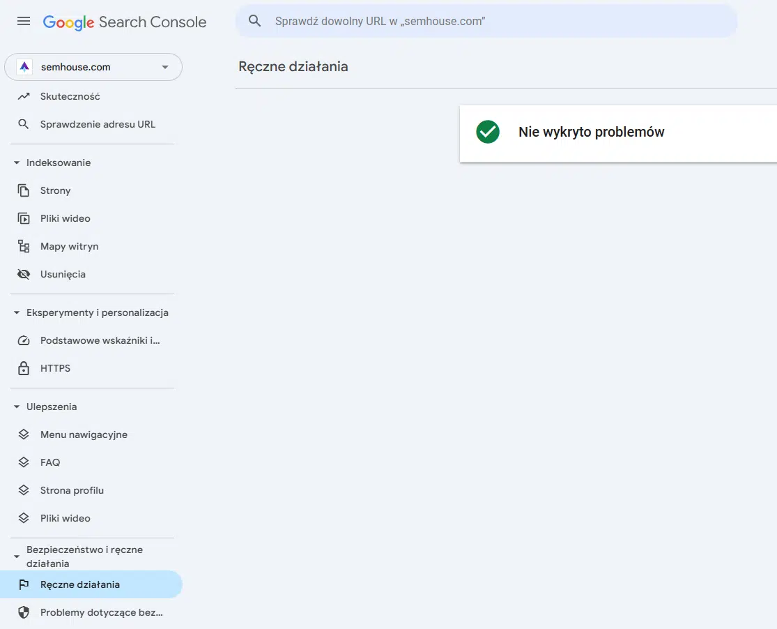 Brak kary ręcznej - widok w Google Search Console