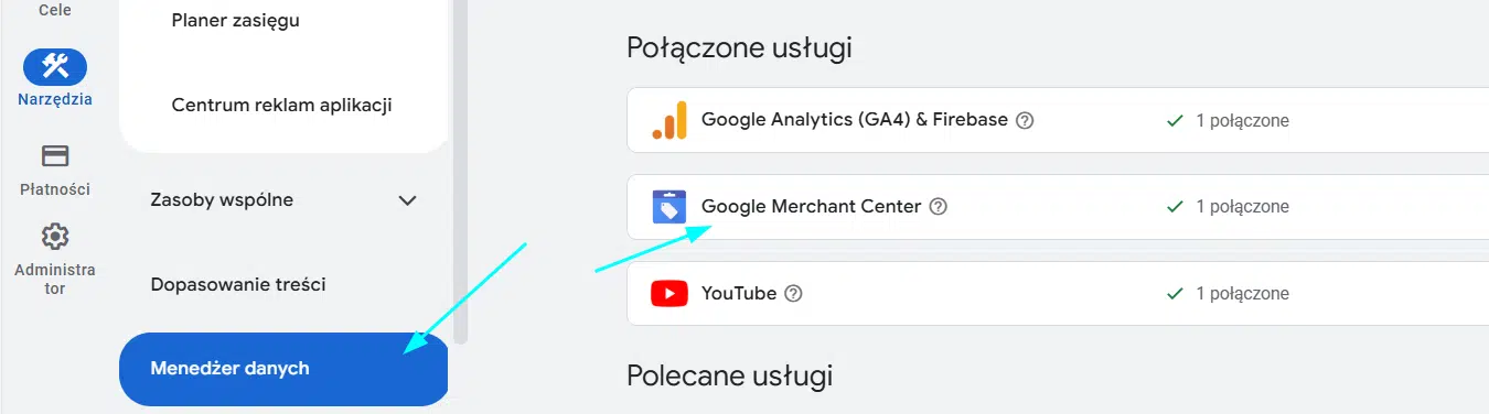 Menedżer danych w Google Ads