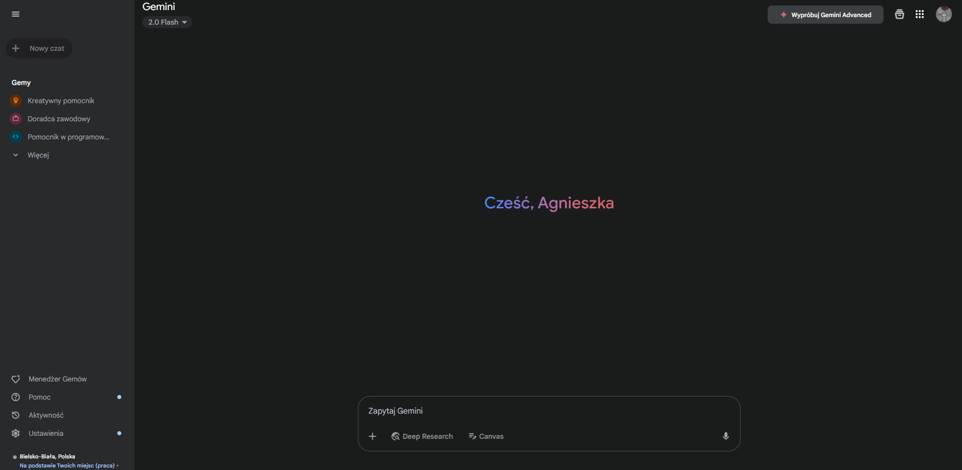 Google Gemini – widok interfejsu