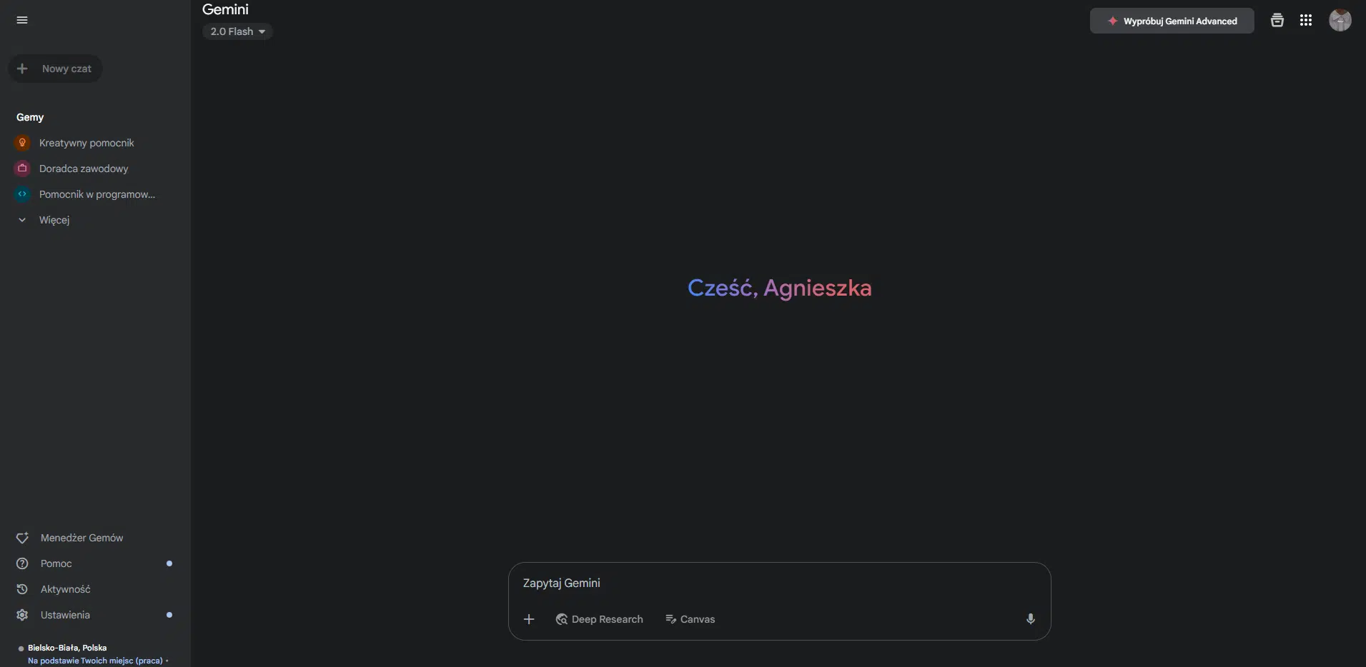 Google Gemini – widok interfejsu