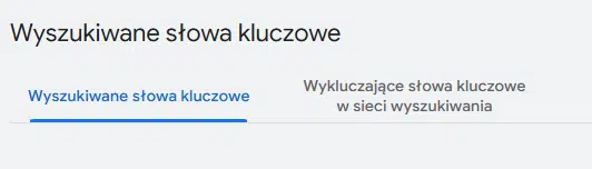 Ustawienia słów kluczowych w kampanii Google Ads