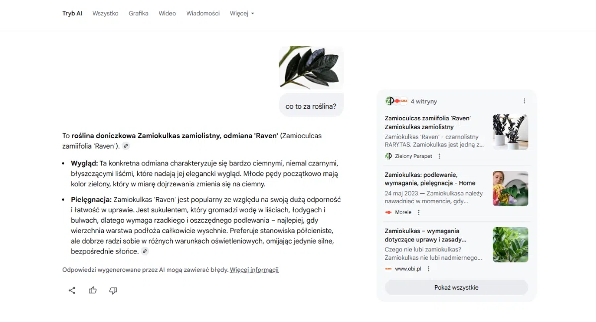 Wyszukiwanie obrazem w Trybie AI Google